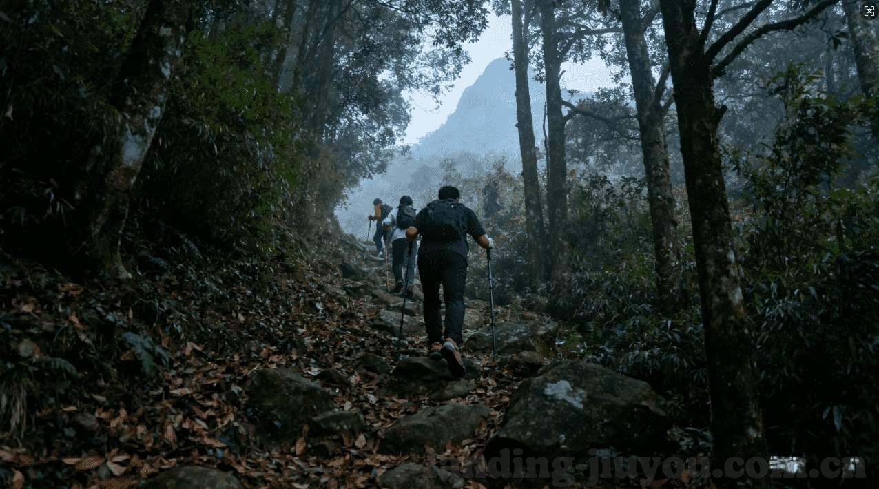 世界杯法国历史战况-法国世界杯历史战况,荣耀与辉煌